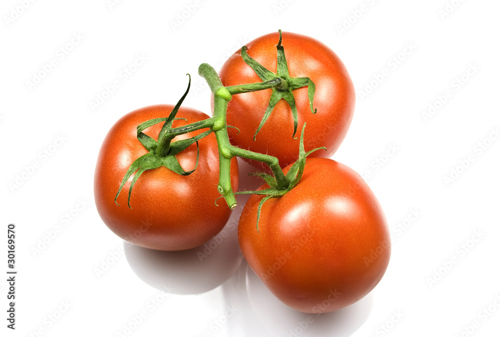Trussed Tomatoes