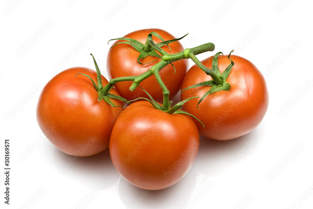Trussed Tomatoes Trussed Tomatoes
