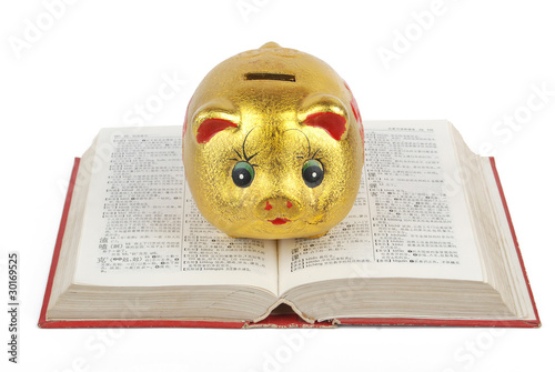 Piggy bank and dictionary photo