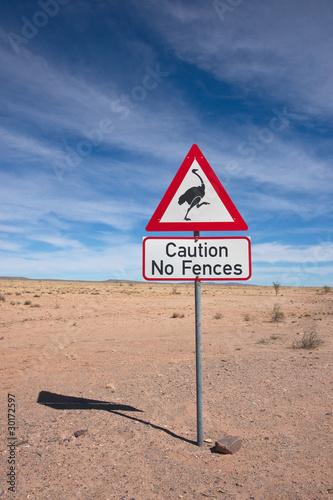 Ostrich crossing