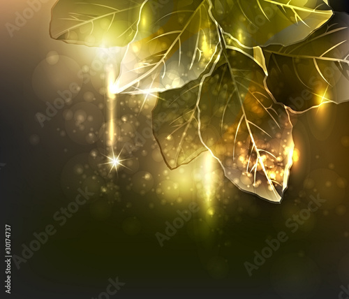 gold leaves. vector illustration