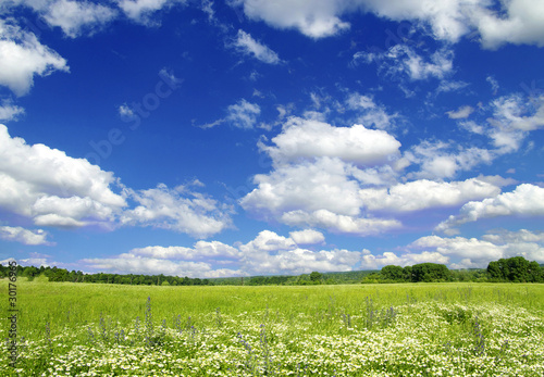 field