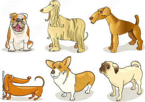 purebred dogs