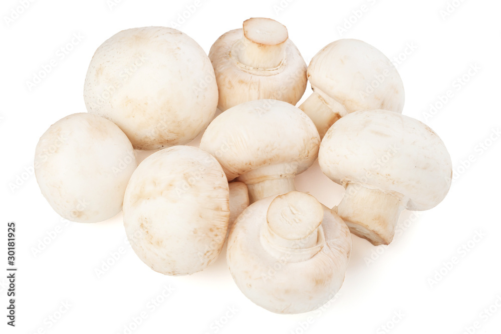 Fresh champignons isolated on white background