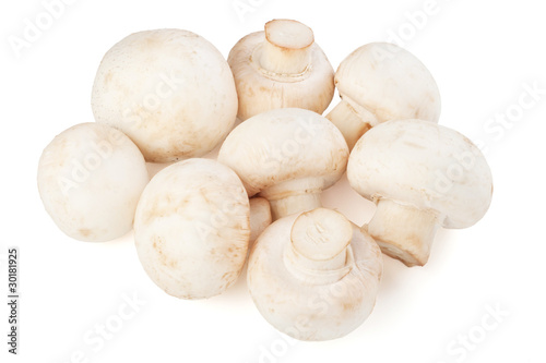 Fresh champignons isolated on white background