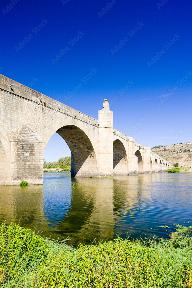 bridge in Medellin, Badajoz Province, Extremadura, Spain