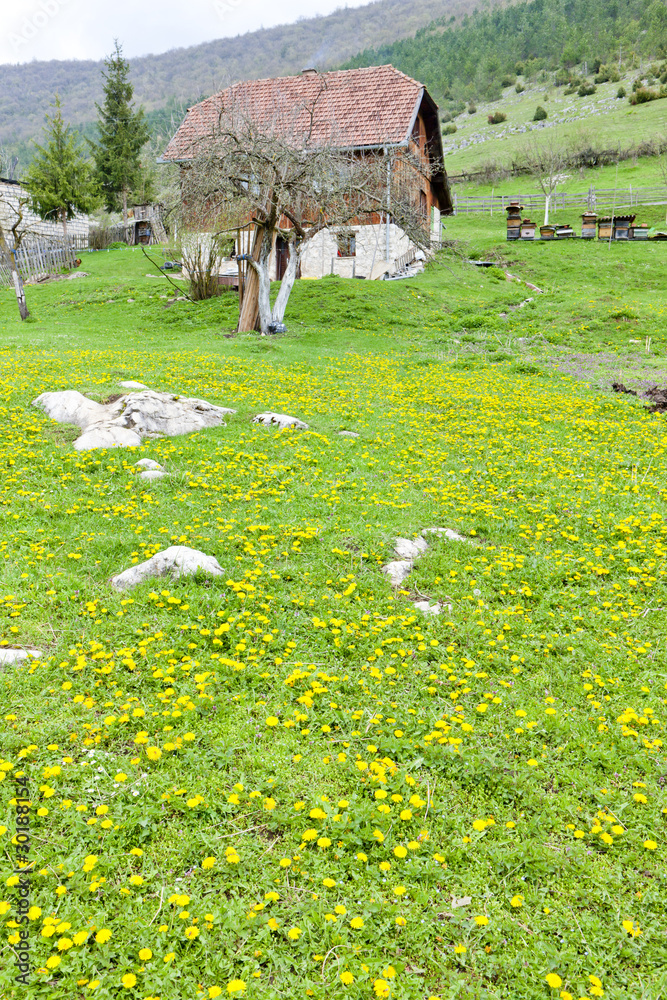 Fototapeta premium countryside, Bosnia and Hercegovina