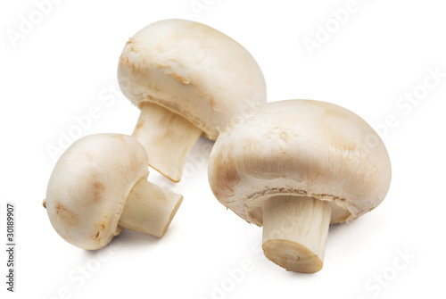 Button mushrooms (Agaricus bisporus)