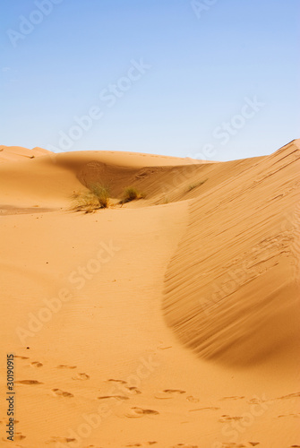 Sahara desert