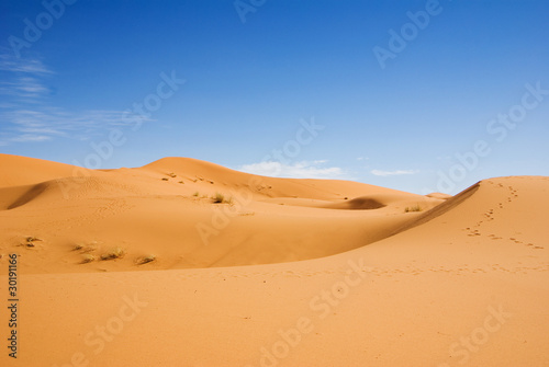 Sahara desert © lusia83