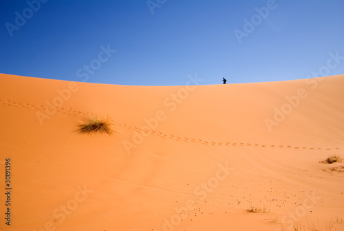 Sahara desert