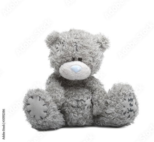 Classic teddy-bear isolated on white background