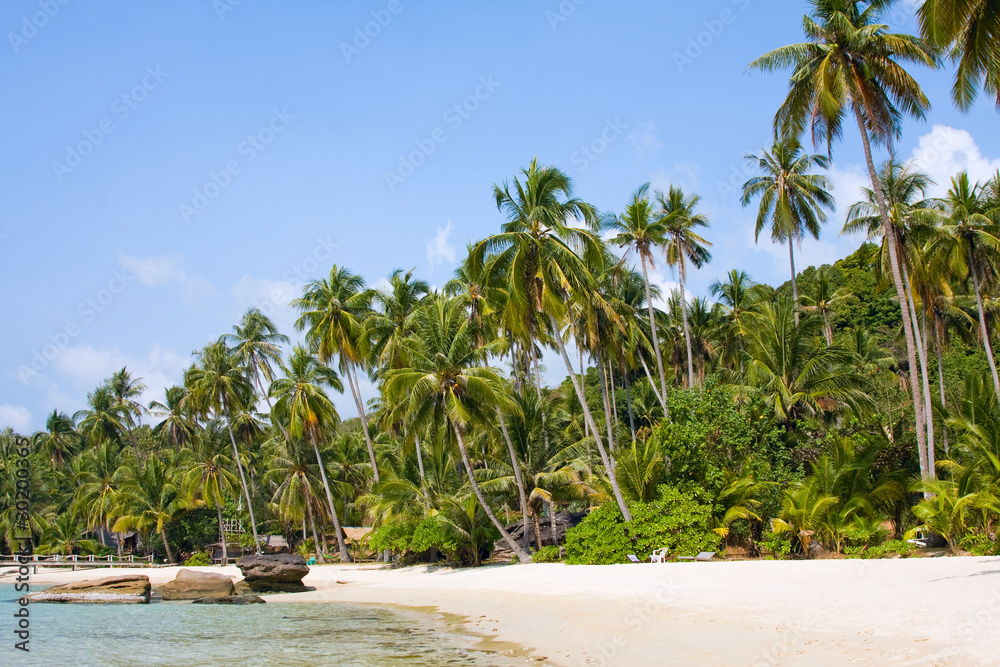 Obraz premium Beautiful tropical beach in Koh Kood , Thailand