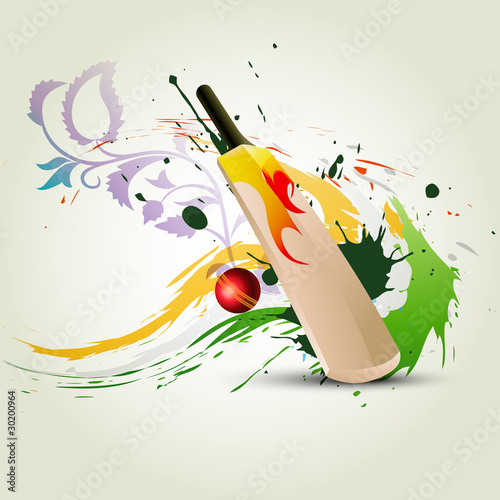 vector cricket bat