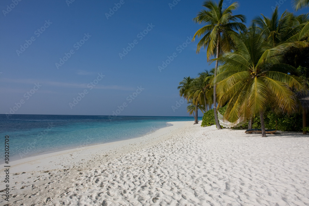 Isola Maldiviana