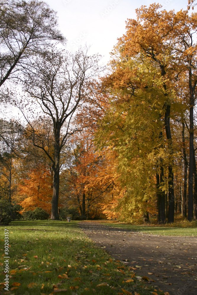 Herbst im Park