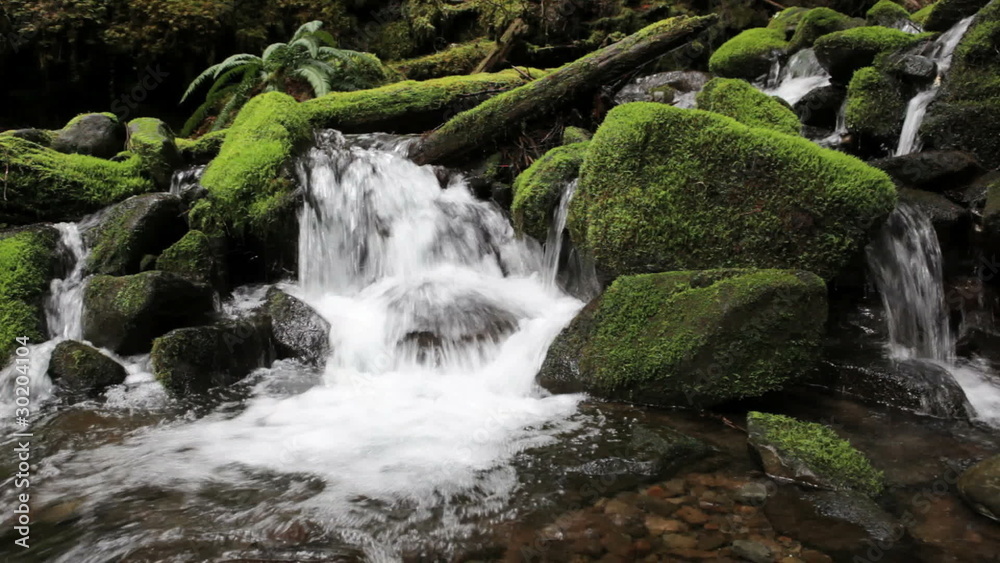 The Sol Duc River, Washington, Olympic National Park The Sol Duc River, Washington, Olympic National Park