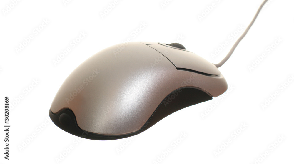 Computer mouse isolated on the white background Computer mouse isolated on the white background