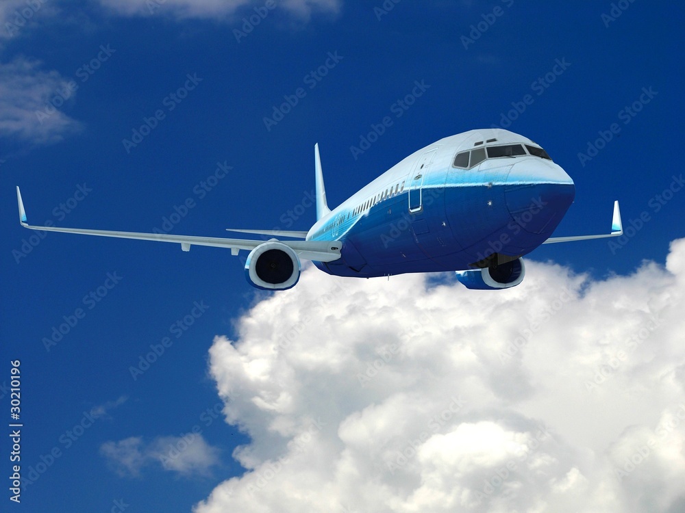 Fototapeta premium Airplane