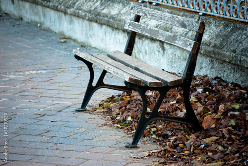 panchina vuota in autunno - benches in autumn photo