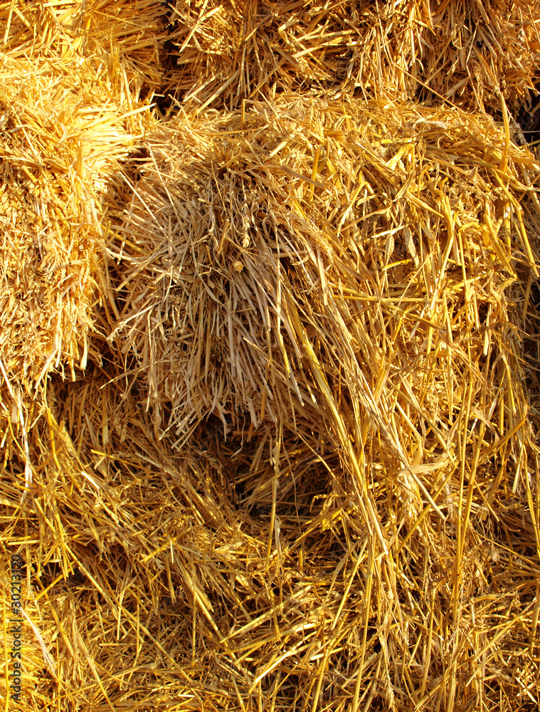 Straw background Straw background