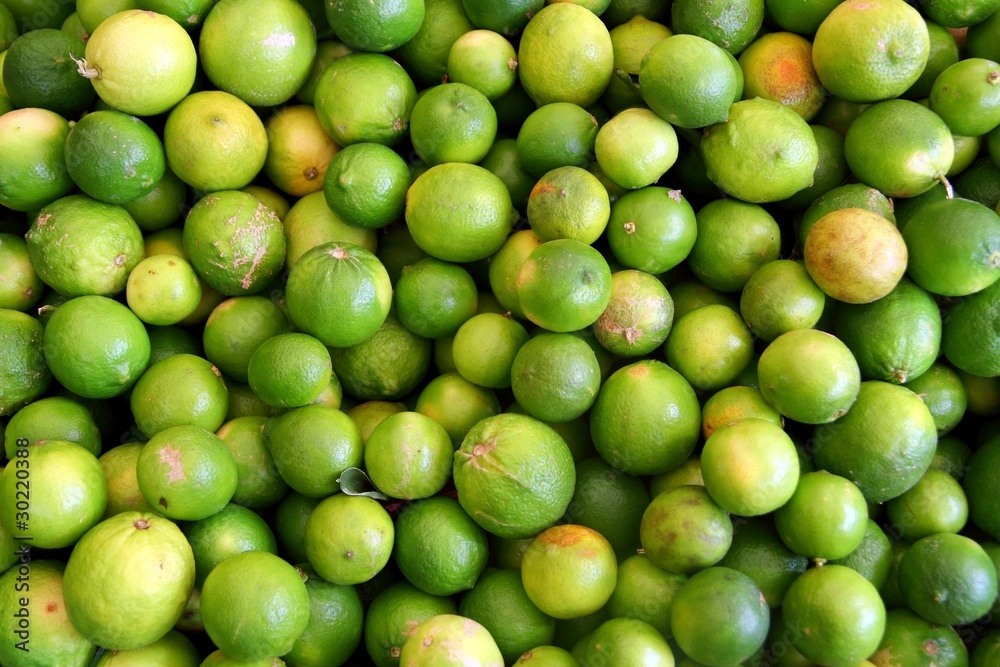 many Lemon citrus fruit pattern background many Lemon citrus fruit pattern background