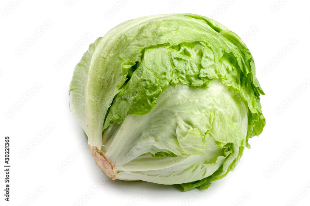 cabbage on white close up cabbage on white close up