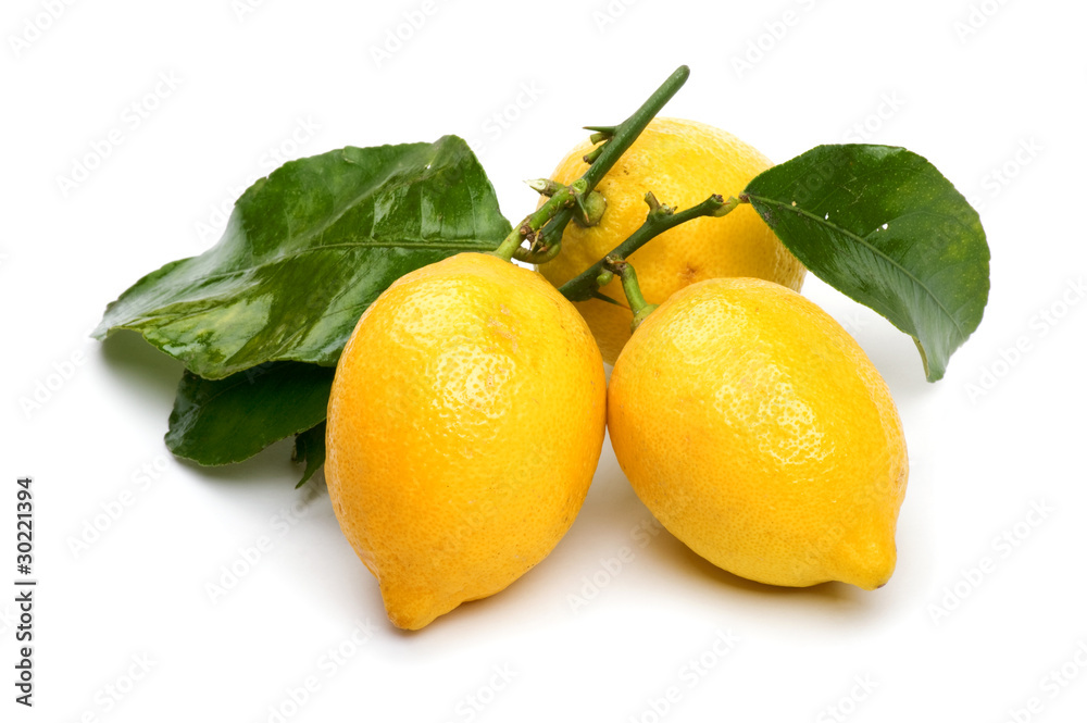 lemon on white close up
