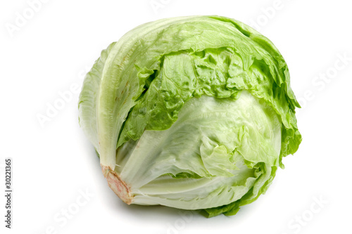 cabbage on white close up