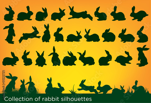 big collection of rabbit silhouettes