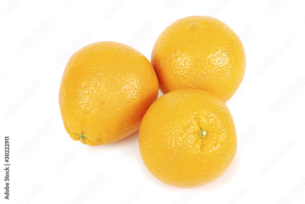 orange orange