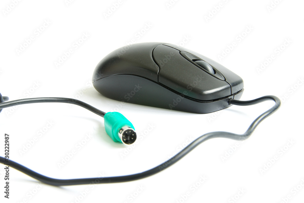 computer mouse computer mouse