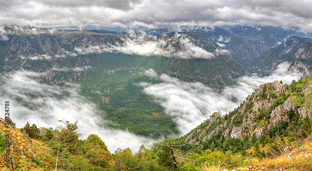 Panorama of Tara Canyon, UNESCO World Heritage, Montenegro.