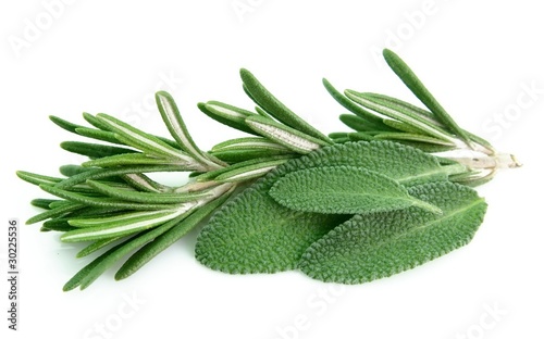 Sage and rosemary
