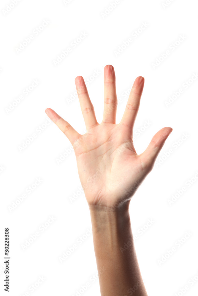 Fototapeta premium Hand Vote