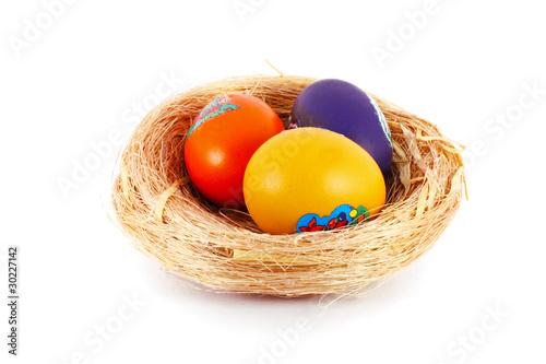 Colored eggs in nest