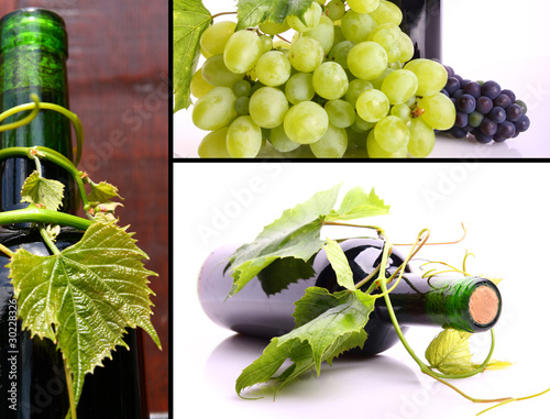 Wine collage