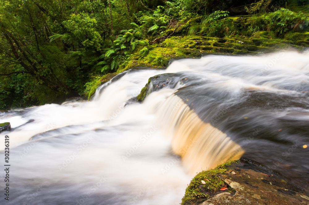 Fototapeta premium Częściowy widok McLean Falls w Catlins