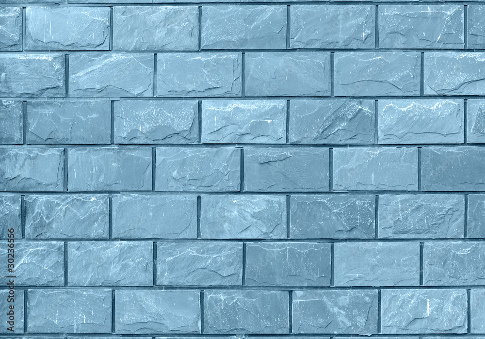 Fototapeta premium Wall