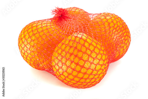 oranges in the grid isolated on white
