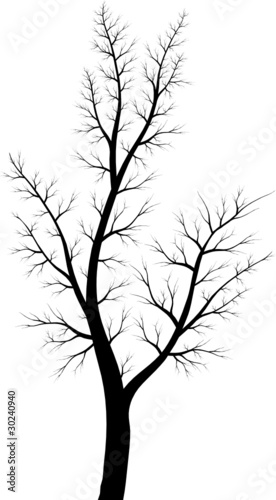 Стилизованное дерево