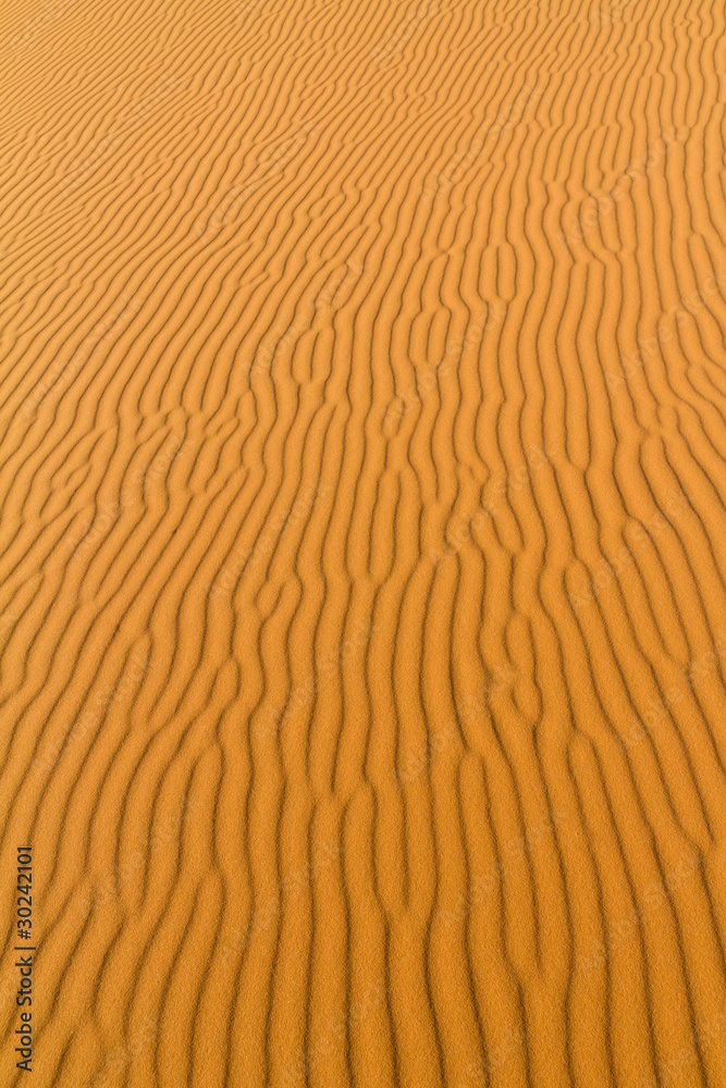 sahara desert sahara desert