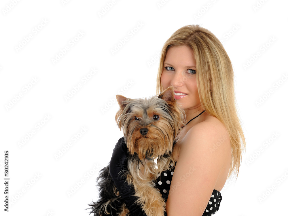 Beautiful blong girl holding small cute york terrier dog. isolat Beautiful blong girl holding small cute york terrier dog. isolat