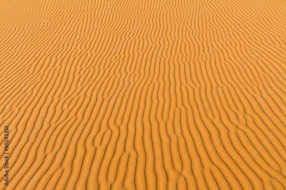 sahara desert sahara desert