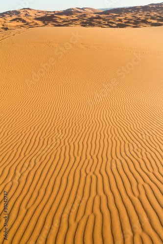 sahara desert