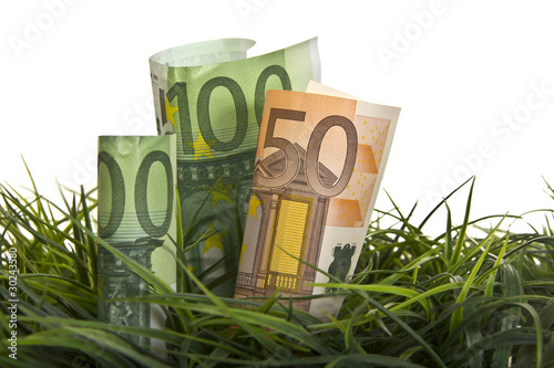Geld in Wiese beim Wachsen