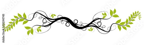 vector floral design - ai green tree branch over white