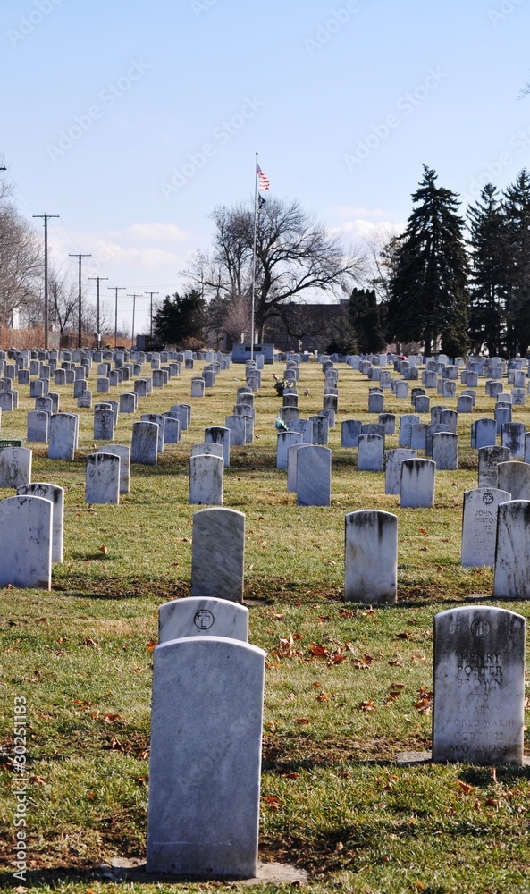 Naklejka premium Gravesite - Military - Flags