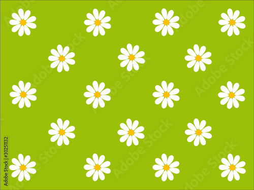 Gänseblümchen Muster
