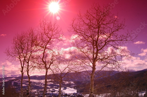 Colorado Sunset with Pink Sky and Aspen Trees